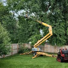 Best Lawn Grading and Leveling  in Kasson, MN